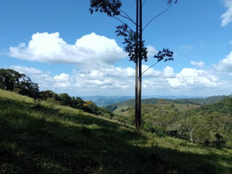 Chácara à venda em Poços de Caldas - MG. 20.000m², Bairro Colinas.